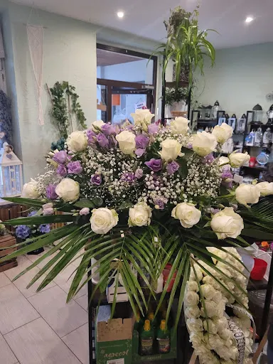 Kwiaciarnia Kwiat Lei